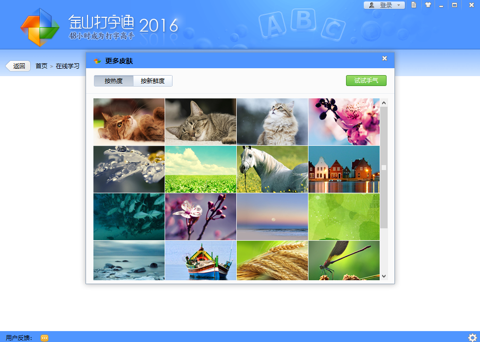 金山打字通手机版截图3