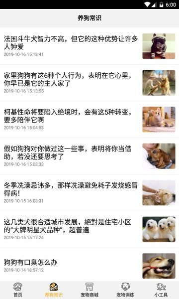 跑狗翻译截图2
