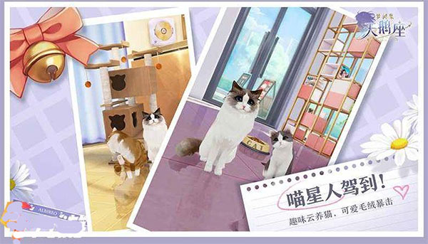 梦间集天鹅座
