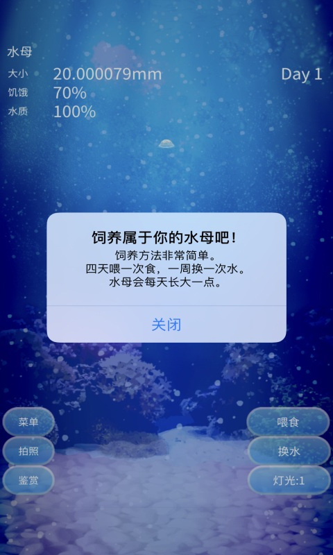 养育水母的治愈游戏截图3