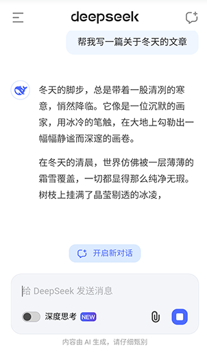 deepseek截图3