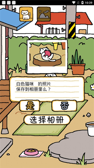 猫咪后院中文版截图2