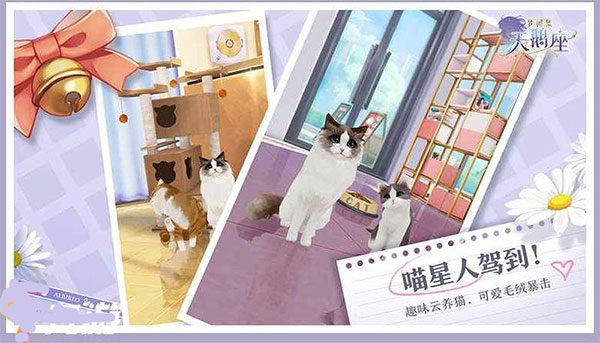 梦间集天鹅座