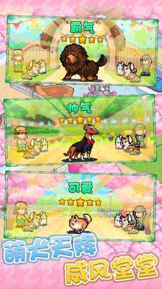 发现狗狗乐园截图3