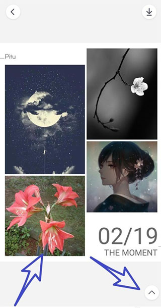 天天p图免费版