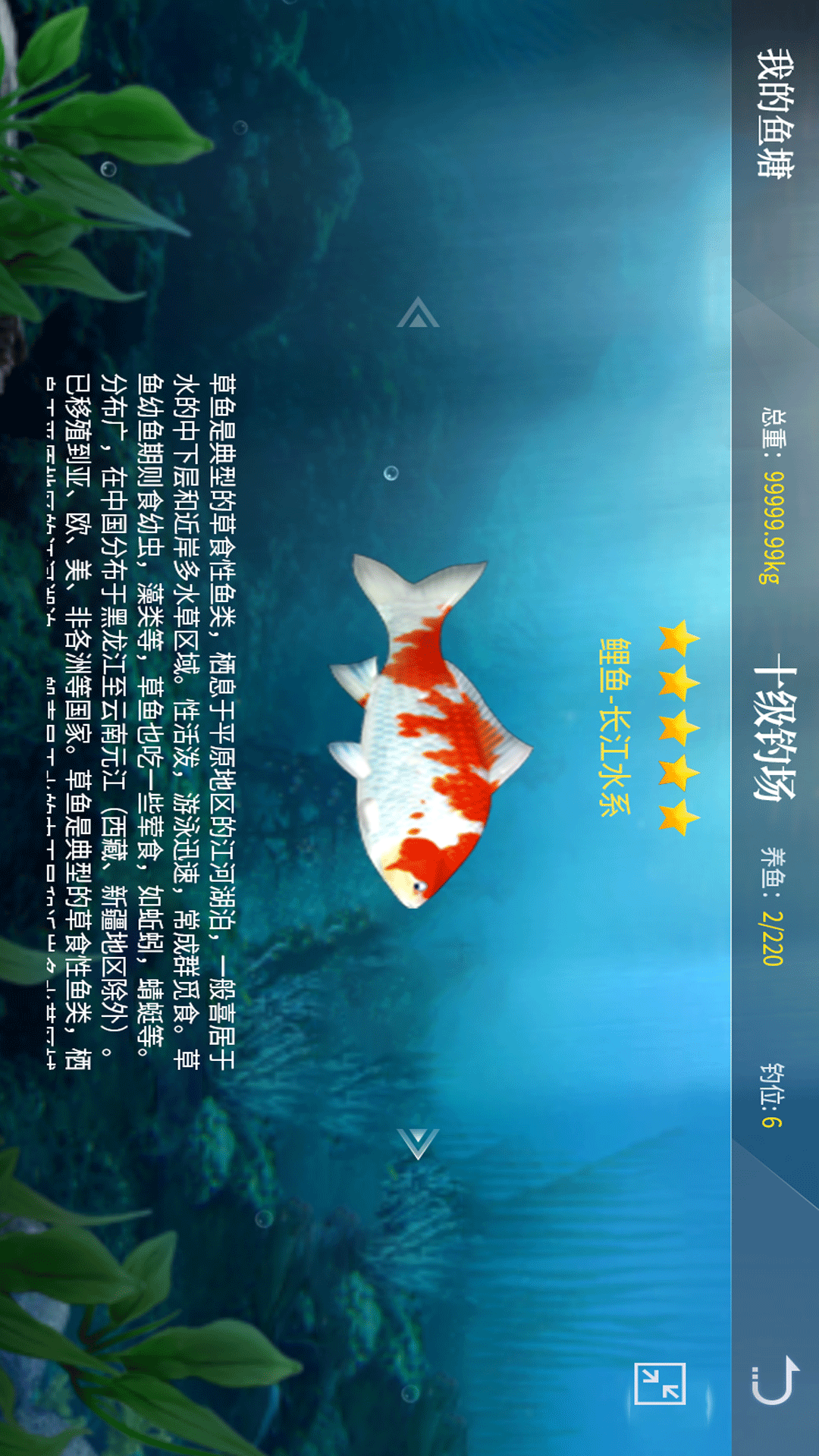 垂钓宗师截图1