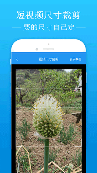 去水印吧手机版截图1