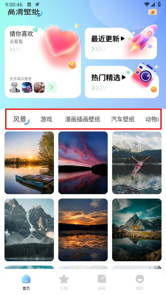 海豚壁纸