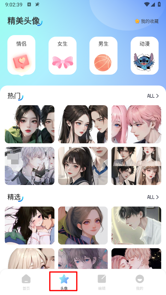 海豚壁纸