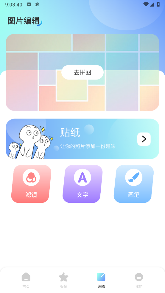 海豚壁纸