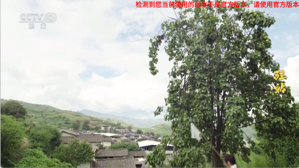 音速直播截图0