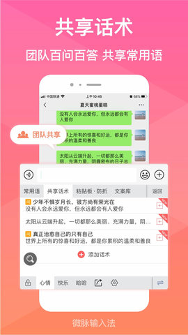 微脉输入法截图2
