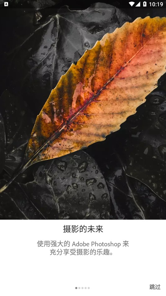 Lightroom截图3