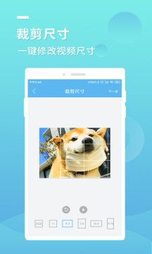 蓝莓去水印截图3