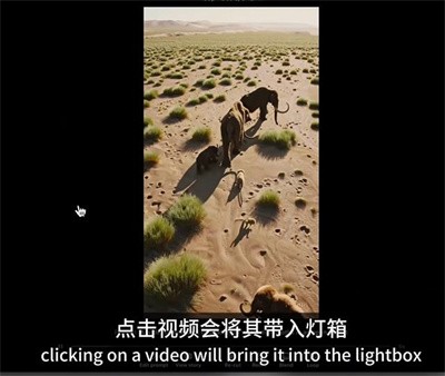 sora中文版