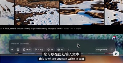sora中文版