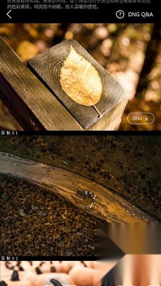 滤镜君lr调色