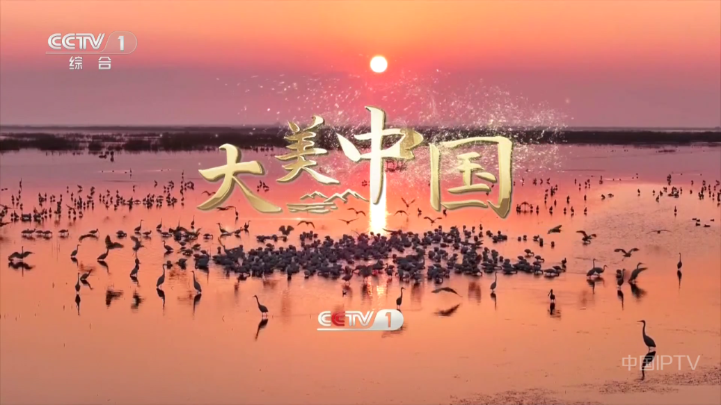 晨瑞电视截图1