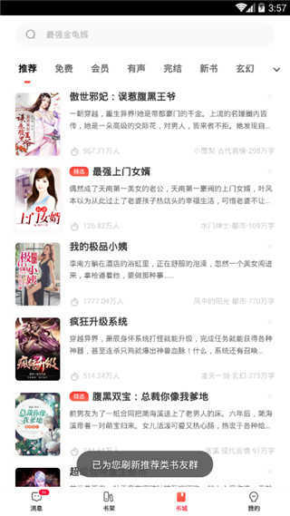 懒猫