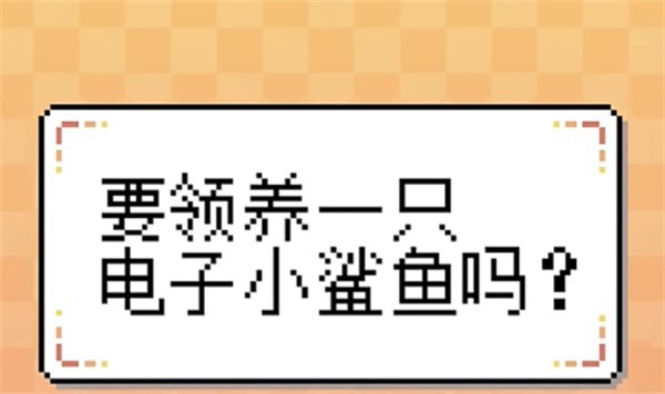 我的小鲨鱼