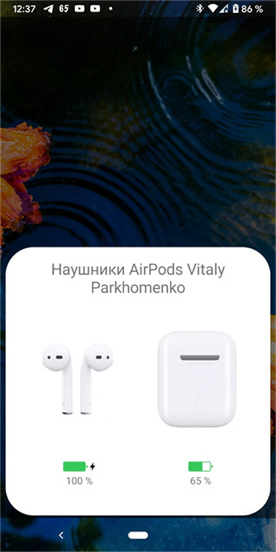 andropods截图3