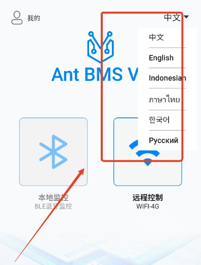 ANT BMS