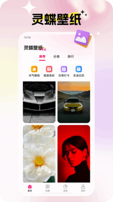灵蝶壁纸截图0
