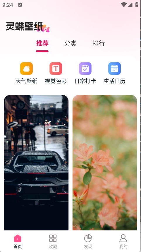 灵蝶壁纸