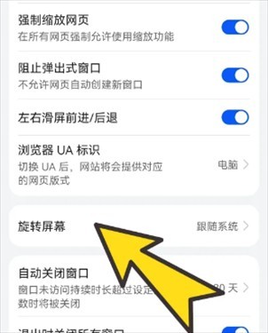 bobo浏览器无国界全球通