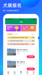 宠爱王国截图1