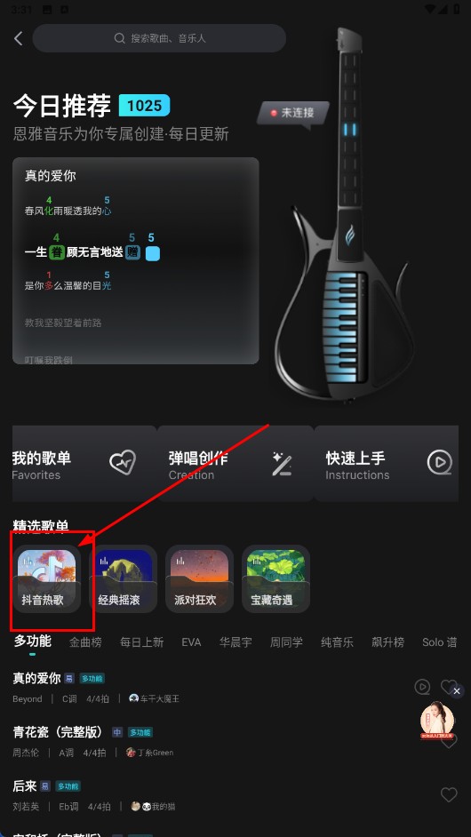 恩雅音乐