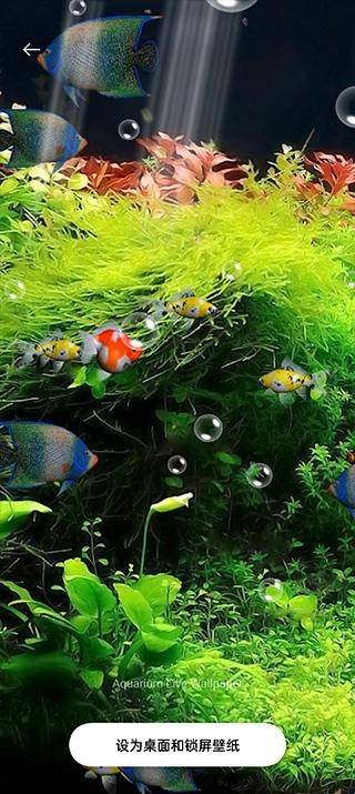 水族馆动态壁纸安卓版