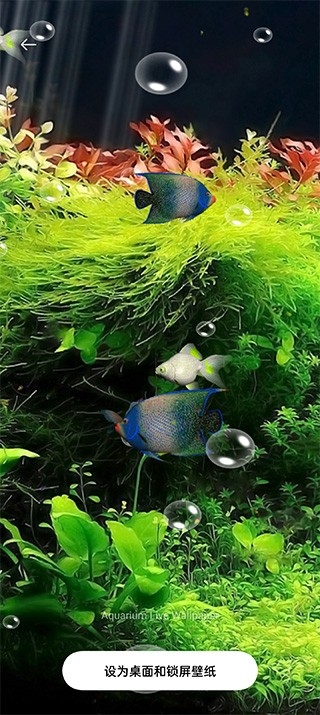 水族馆动态壁纸安卓版截图3