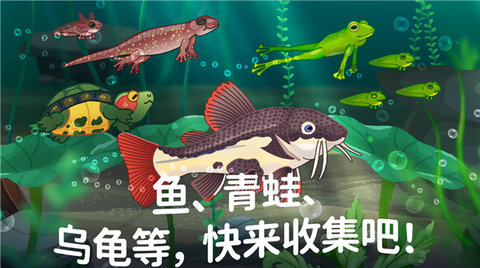 池趣