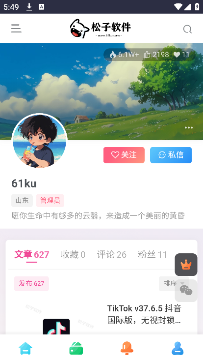 松子软件