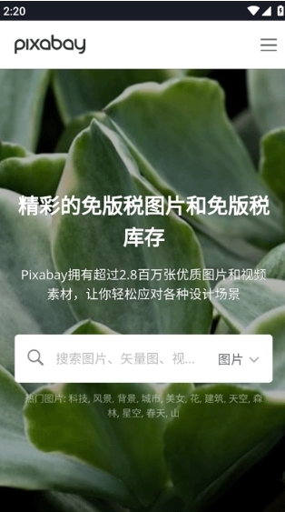 pixabay截图2
