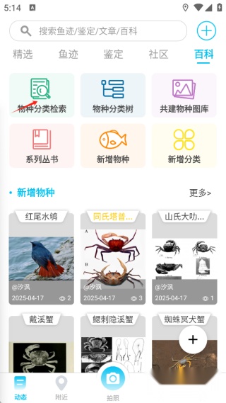 看鱼安卓版