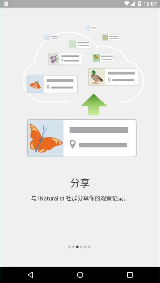 iNaturalist截图2