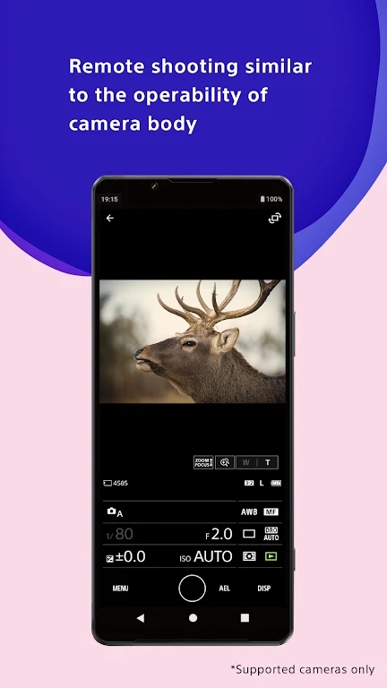 creators截图1