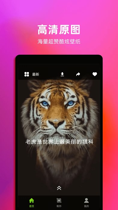4K动态壁纸
