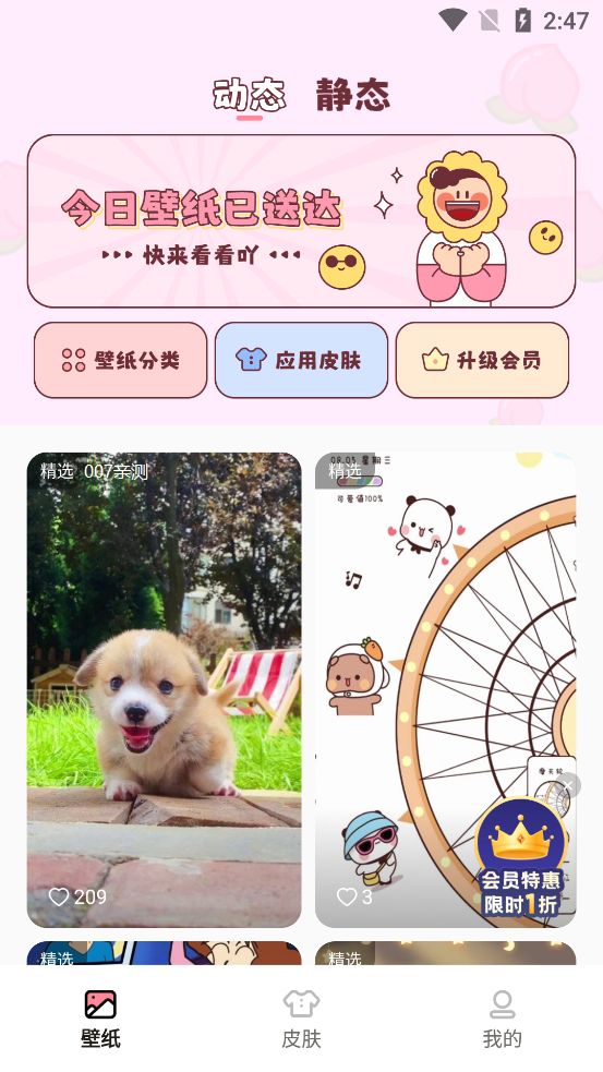 白桃壁纸