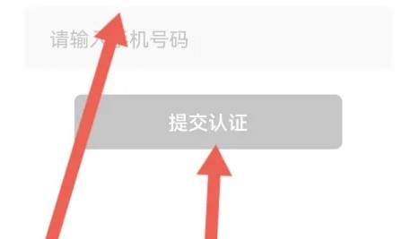春雨直播游客登录版