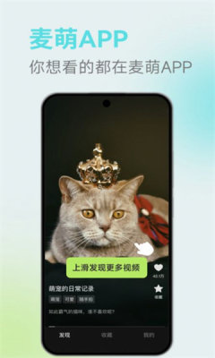 麦萌短剧最新版
