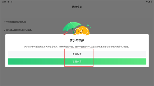 小学综评学生