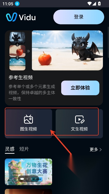 vidu国际版