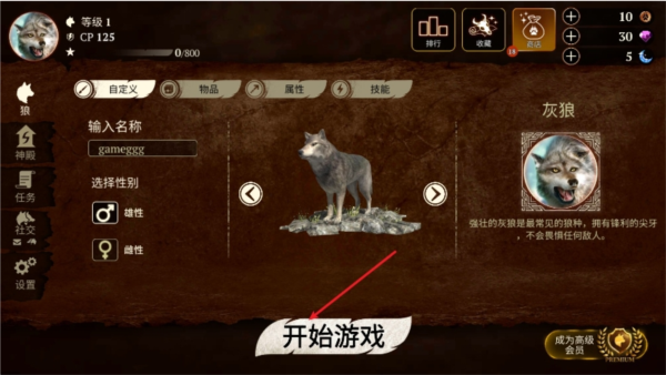 the wolf