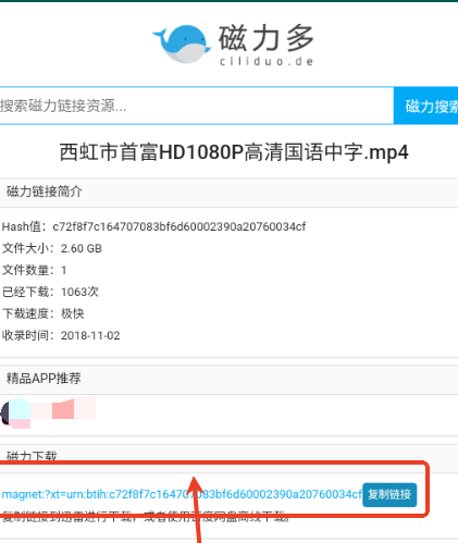 磁力多搜索引擎