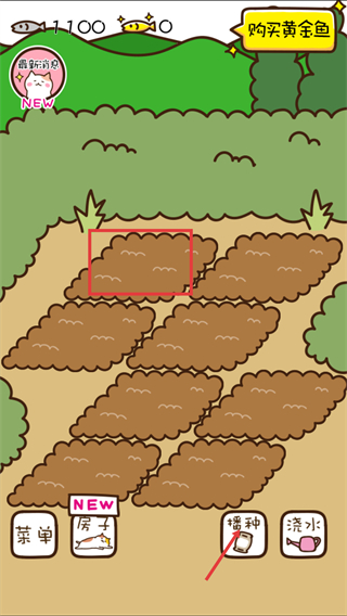 猫咪田园