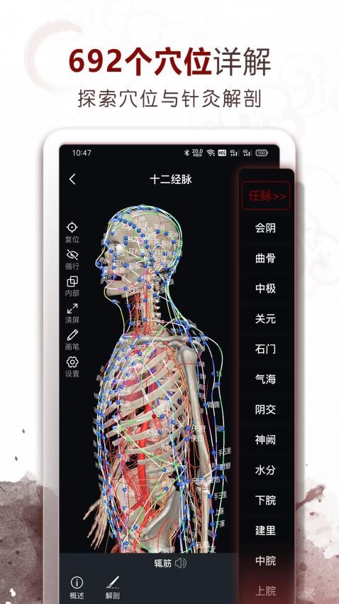 中医经络穴位截图1