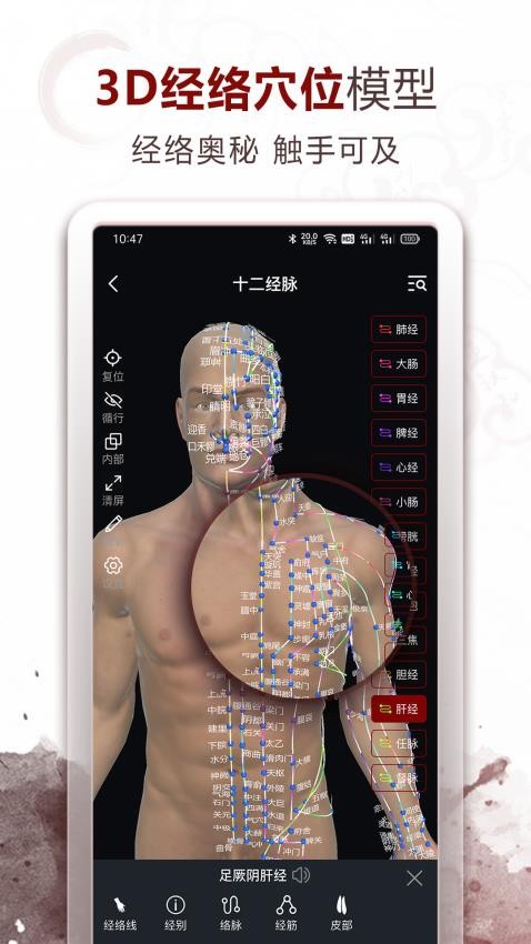 中医经络穴位截图2
